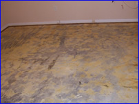 Decorative Crete-Worx