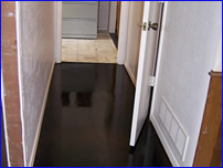 Decorative Crete-Worx