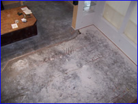 Decorative Crete-Worx