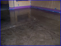 Decorative Crete-Worx