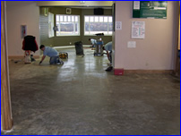 Decorative Crete-Worx