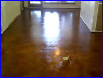 direct stain