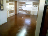direct stain